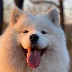 Meet your Posher, Cecily